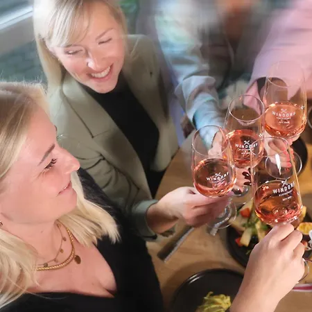 温多夫西佳酒店 3* 莱比锡