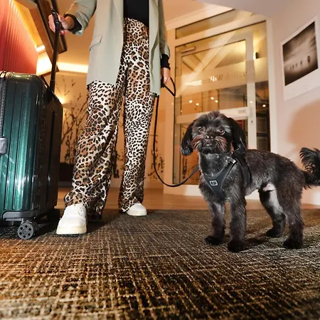 酒店 温多夫西佳酒店 3*