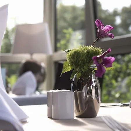 温多夫西佳酒店 3* 莱比锡