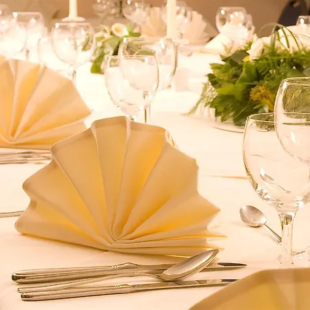 温多夫西佳酒店 3* 莱比锡